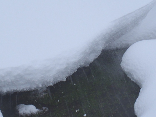 Graupel - ball-bearing-like snow particles